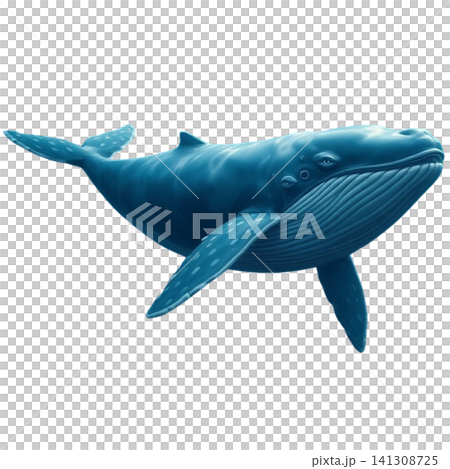 whale whale 141308725