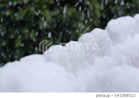 垣根に積もる雪のパターン 垣根に積もる雪のパターン 141309312