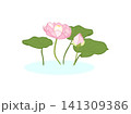 水に浮かぶ蓮の花と葉っぱのイラスト 141309386