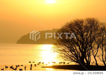 琵琶湖と竹生島の夕日の風景 141309695