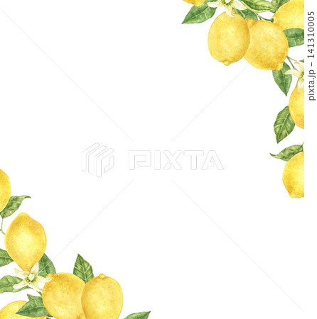 Watercolor lemon corner with ripe citrus, blossoms and green leaves. Hand painted Mediterranean botanical illustration for summer menus, recipe cards, food labels, weddings and kitchen decor. Watercolor lemon corner with ripe citrus, blossoms and green leaves. Hand painted Mediterranean botanical illustration for summer menus, recipe cards, food labels, weddings and kitchen decor. 141310005