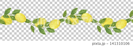 Watercolor seamless lemon border with citrus branches and green leaves. Hand painted Mediterranean illustration for fabric, wallpaper, gift wrap, kitchen decor and food packaging. Watercolor seamless lemon border with citrus branches and green leaves. Hand painted Mediterranean illustration for fabric, wallpaper, gift wrap, kitchen decor and food packaging. 141310106