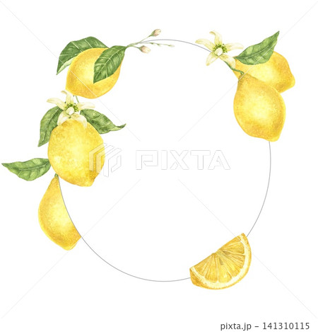 Watercolor oval frame with lemons, citrus blossoms and sliced lemon. Hand painted botanical composition for invitations, greeting cards, stationery, wedding and summer projects. 141310115