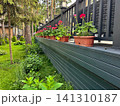 Flowers at the dacha 141310187