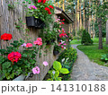 Flowers at the dacha 141310188