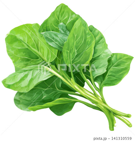 spinach 141310559