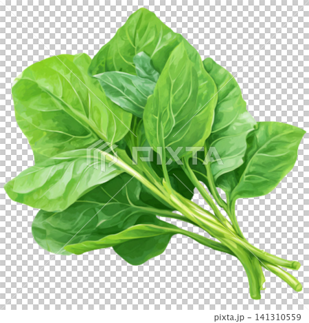 spinach spinach 141310559