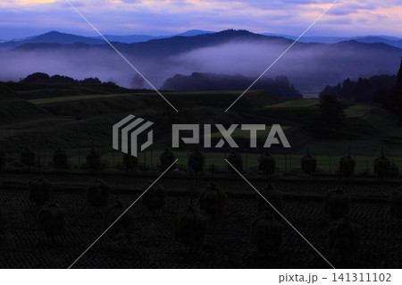 稲干しのある風景 稲干しのある風景 141311102