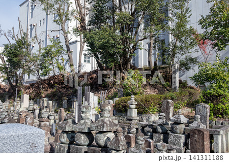 京都　廬山寺に残る聚楽第跡の土塁 141311188