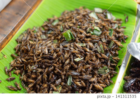Crispy fried crickets served fresh banana leaf herbs Popular street food rich protein traditional local culinary culture 141311535