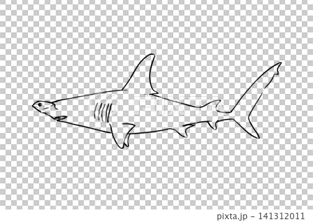 シロシュモクザメの手描き線画イラスト 横向き 白背景 シロシュモクザメの手描き線画イラスト 横向き 白背景 141312011