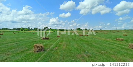 Rectangular hay bales scattered on a green grass field under a cloudy sky Rectangular hay bales scattered on a green grass field under a cloudy sky 141312232