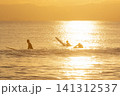 湘南鵠沼海岸  綺麗な夕陽の光とサーファーのシルエット 141312537
