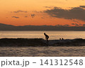 湘南鵠沼海岸  日没後の空とサーフィン 141312548