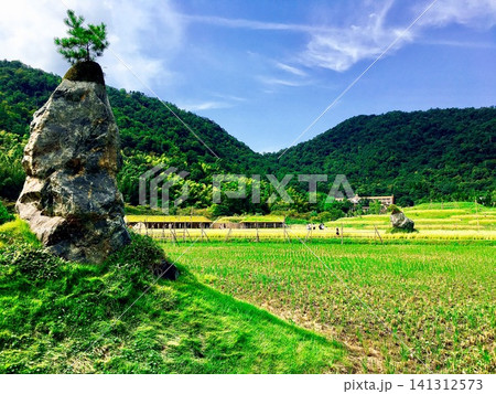 苔むした原風景 苔むした原風景 141312573