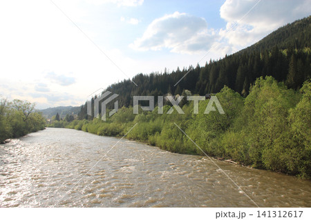 Turbulent mountain river flowing through green Carpathian forest under sunny sky Turbulent mountain river flowing through green Carpathian forest under sunny sky 141312617