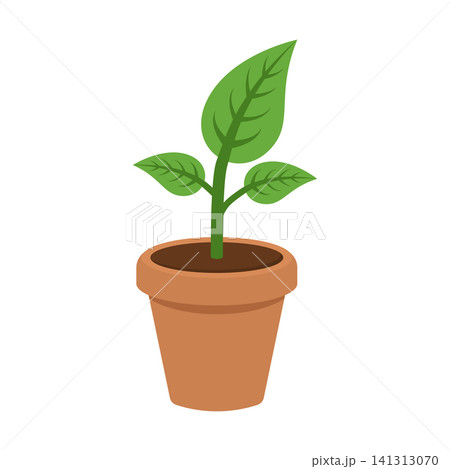 Plant flower icon in flat style. Sprout leaf vector illustration on isolated background. Greenery decoration sign business concept. Plant flower icon in flat style. Sprout leaf vector illustration on isolated background. Greenery decoration sign business concept. 141313070