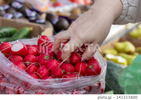 A person hand picks fresh red radishes from a plastic bag at a local farmer market stall, highlighting a healthy organic vegetable selection for cooking or salad preparation now 141313800