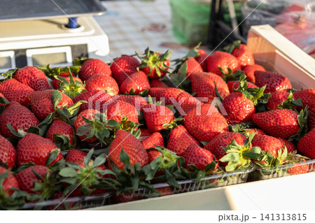 Fresh red strawberries in plastic containers at an outdoor farmers market, showcasing healthy seasonal organic produce and vibrant agricultural food displays for nutrition and diet Fresh red strawberries in plastic containers at an outdoor farmers market, showcasing healthy seasonal organic produce and vibrant agricultural food displays for nutrition and diet 141313815