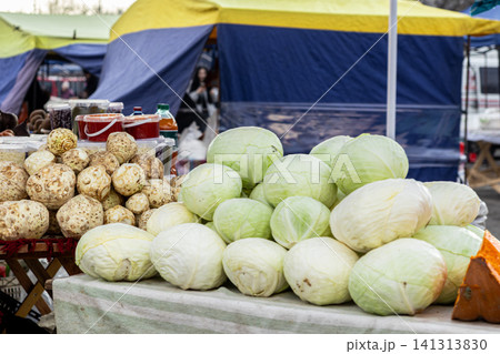 Fresh green cabbage heads and celeriac roots piled on a market table, showcasing locally sourced organic vegetables ready for purchase at an outdoor street farmer produce stall 141313830