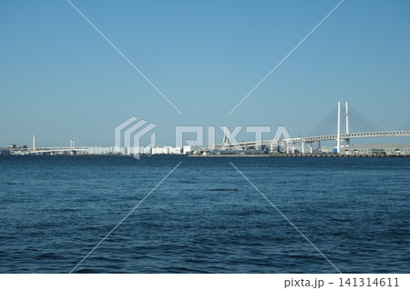 遠くに見える横浜ベイブリッジ　春 141314611