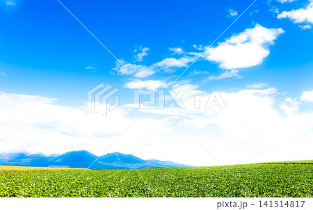 夏の北海道上富良野町の丘の上から見た十勝岳連峰と雄大な風景 夏の北海道上富良野町の丘の上から見た十勝岳連峰と雄大な風景 141314817