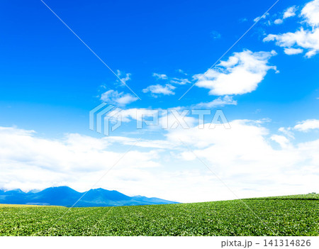夏の北海道上富良野町の丘の上から見た十勝岳連峰と雄大な風景 141314826