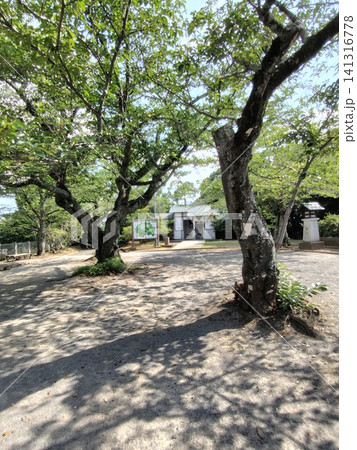 木更津市太田山公園 141316778