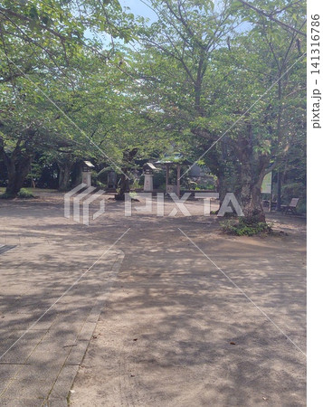 木更津市太田山公園 木更津市太田山公園 141316786