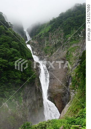 富山県立山町 落差350mの日本一の落差を誇る大瀑布称名滝 富山県立山町 落差350mの日本一の落差を誇る大瀑布称名滝 141317080