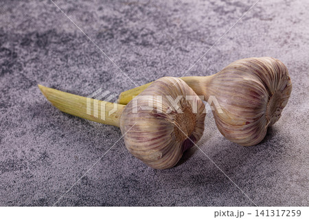 Two garlic bulbs with green stems on textured gray surface 141317259