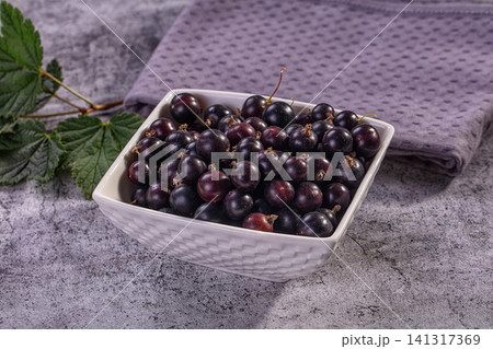 Black currant berries in white ceramic bowl with green leaves on gray stone surface 141317369