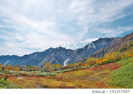 北アルプス連峰と紅葉する山の木々 141317487