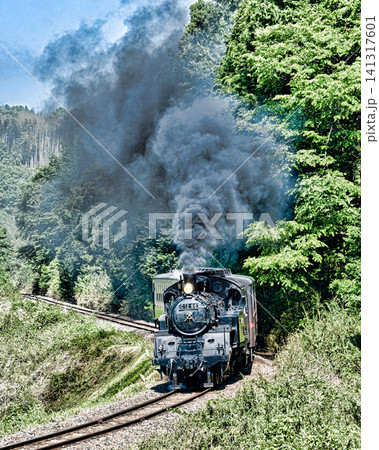 真岡鉄道の蒸気機関車 真岡鉄道の蒸気機関車 141317601