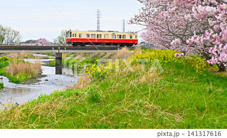 関東鉄道のディーゼル 関東鉄道のディーゼル 141317616