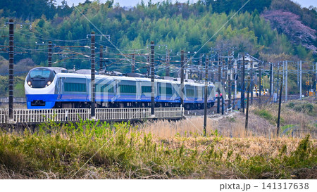 常磐線の電車 常磐線の電車 141317638