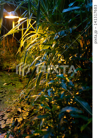 greenhouse gardening in botanical garden, green plants in artificial environment 141317683