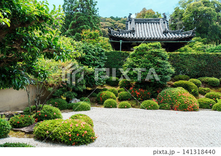 京都 一休寺の庭園 京都 一休寺の庭園 141318440