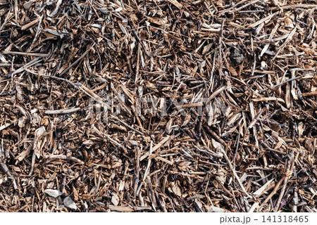 Chips of trees and bushes. Small pile of wood chips background, top view. Waste from the woodworking industry, fuel and raw materials for heating solid fuel industrial boilers on wood chips.  141318465