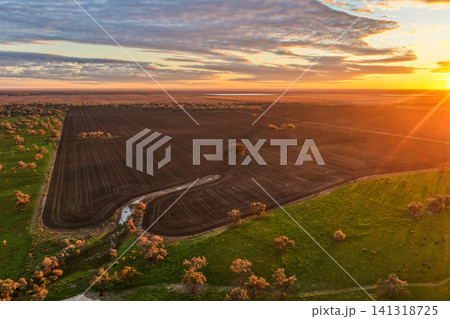 Aerial view capturing warm sunshine over cultivated fields surrounded by lush green countryside, showcasing the rich colours, textures and patterns of the rural landscape in NSW, Australia. 141318725