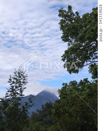 Misty mountain peaks rise above lush green forests Misty mountain peaks rise above lush green forests 141319028