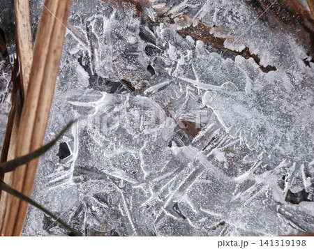Dense Ice Shard Crystals and Needles Over Dark Ground with Dry Stems, Frosted Winter Nature Abstract Macro Dense Ice Shard Crystals and Needles Over Dark Ground with Dry Stems, Frosted Winter Nature Abstract Macro 141319198