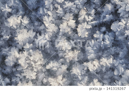 White Frost Crystals Close Macro Showing Detailed Crystal Structure, Frosted Winter Natural Texture Background White Frost Crystals Close Macro Showing Detailed Crystal Structure, Frosted Winter Natural Texture Background 141319267