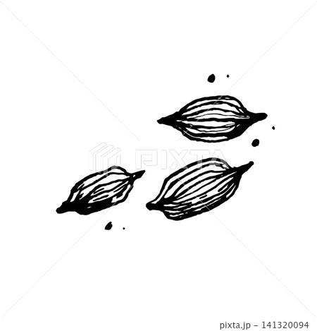 Cardamom spice in an engraving style. Vector illustration for a cooking recipe, menu, or packaging design. Cardamom spice in an engraving style. Vector illustration for a cooking recipe, menu, or packaging design. 141320094