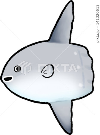 マンボウ マンボウ 141320615