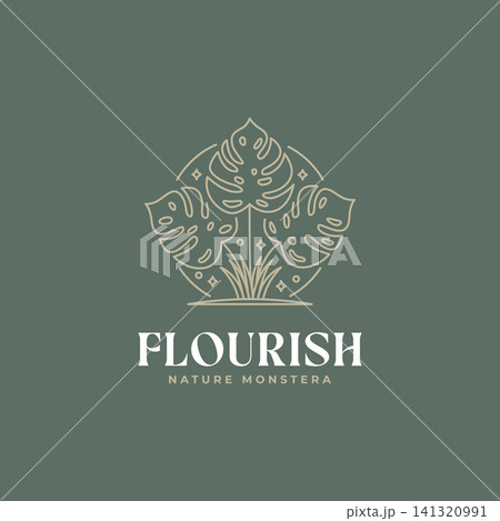 minimalist tropical monstera leaves line art icon logo template vector illustration design minimalist tropical monstera leaves line art icon logo template vector illustration design 141320991