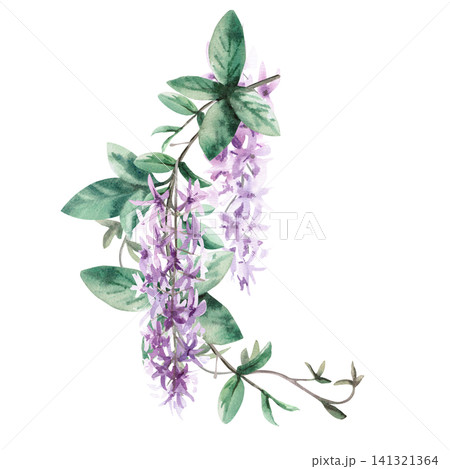 A curved branch with leaves and lilac flowers of a tropical liana. Isolated watercolor illustration for fabric design, packaging, cards, home decor prints, and wedding invitation designs. 141321364