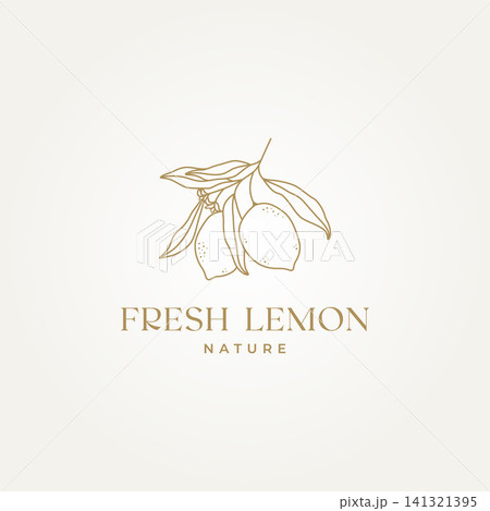 line art hand draw of lemon tree brunch icon logo vector illustration design line art hand draw of lemon tree brunch icon logo vector illustration design 141321395