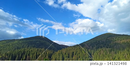 Beautiful mountain landscape with green pine forest and the mountain peaks Beautiful mountain landscape with green pine forest and the mountain peaks 141321498
