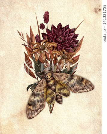 Autumn bouquet with a hawk moth on vintage paper. A watercolor illustration suitable for greeting cards, posters, vintage-style decor, and dark-themed designs. 141321755